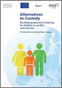 alternatives to custody