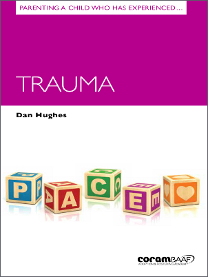 Parenting a child who has experienced trauma